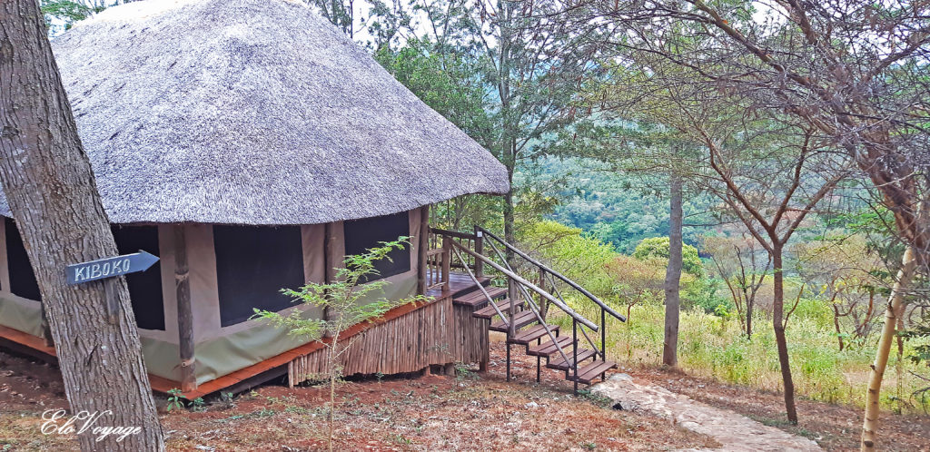 camp lodge safari tanzanie