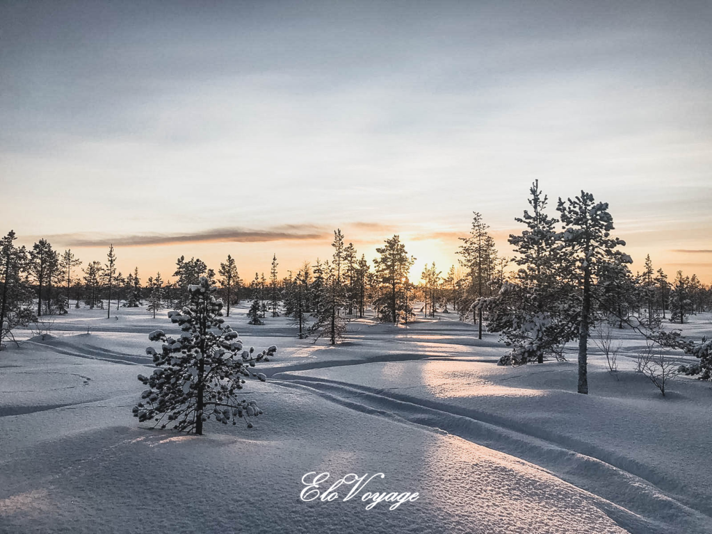 paysage susnet laponie neige sapin