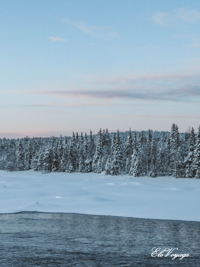 sapin lac gelé laponie finlande