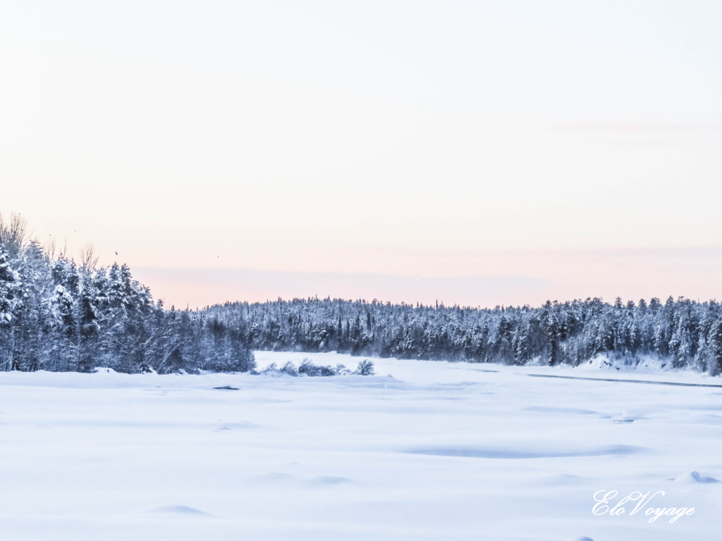 neige sapin laponie finlande