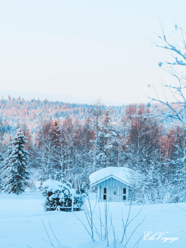 cabane laponie sapin neige