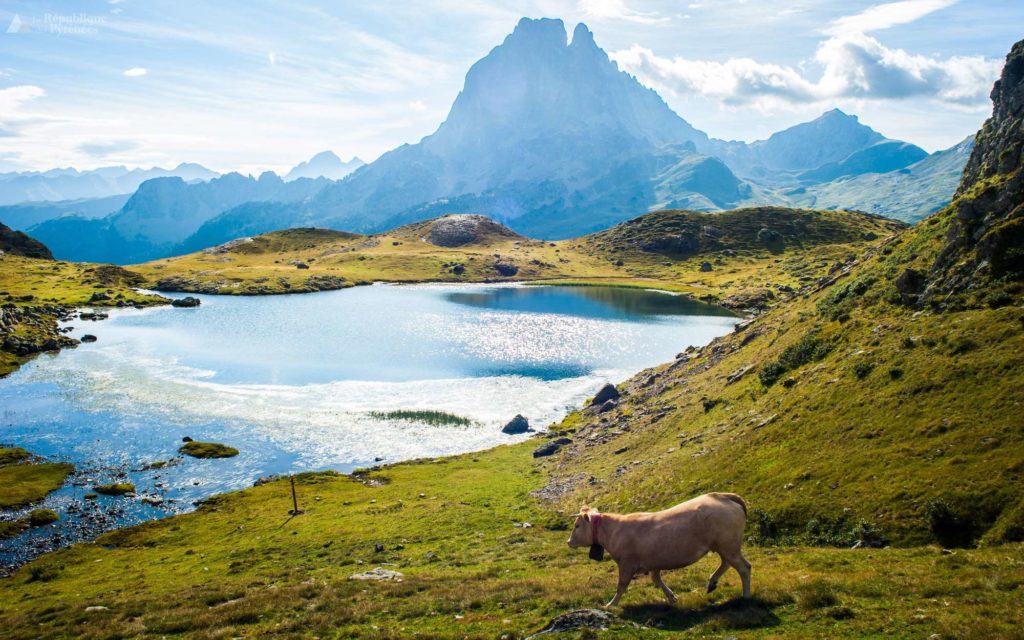 Vue sur la vallée d'Ossau Pyrénées