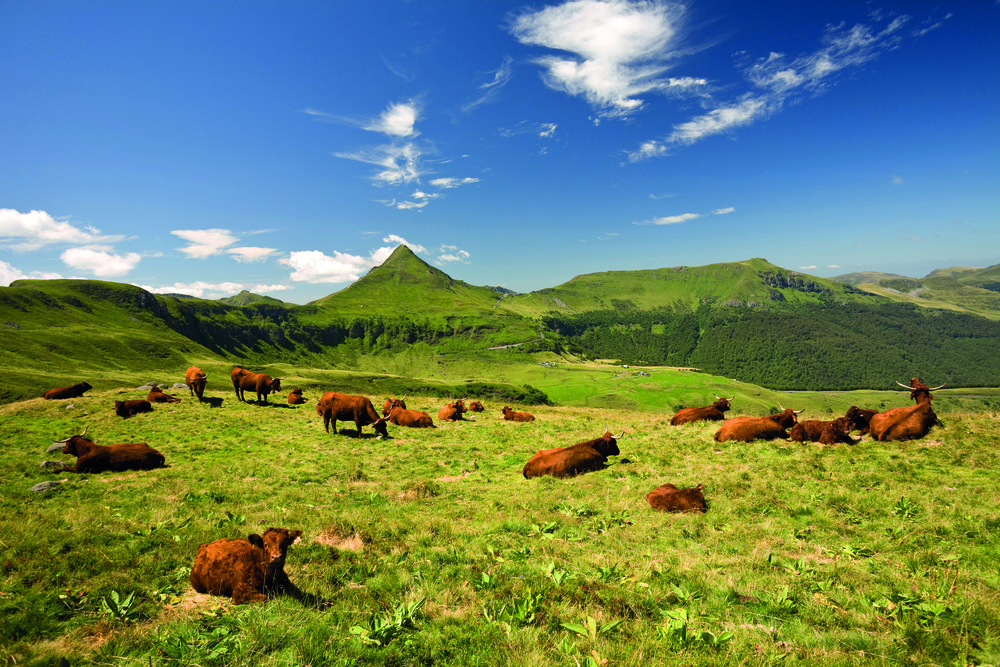 Monts du Cantal paysage