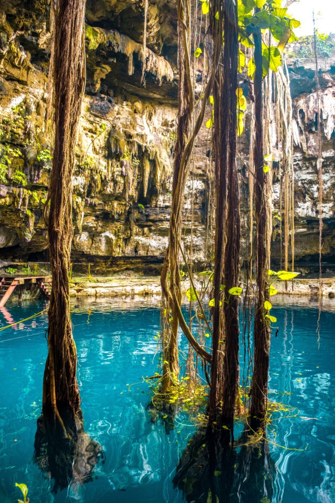 CENOTE OXMAN VALLADOLID MEXIQUE YUCATAN