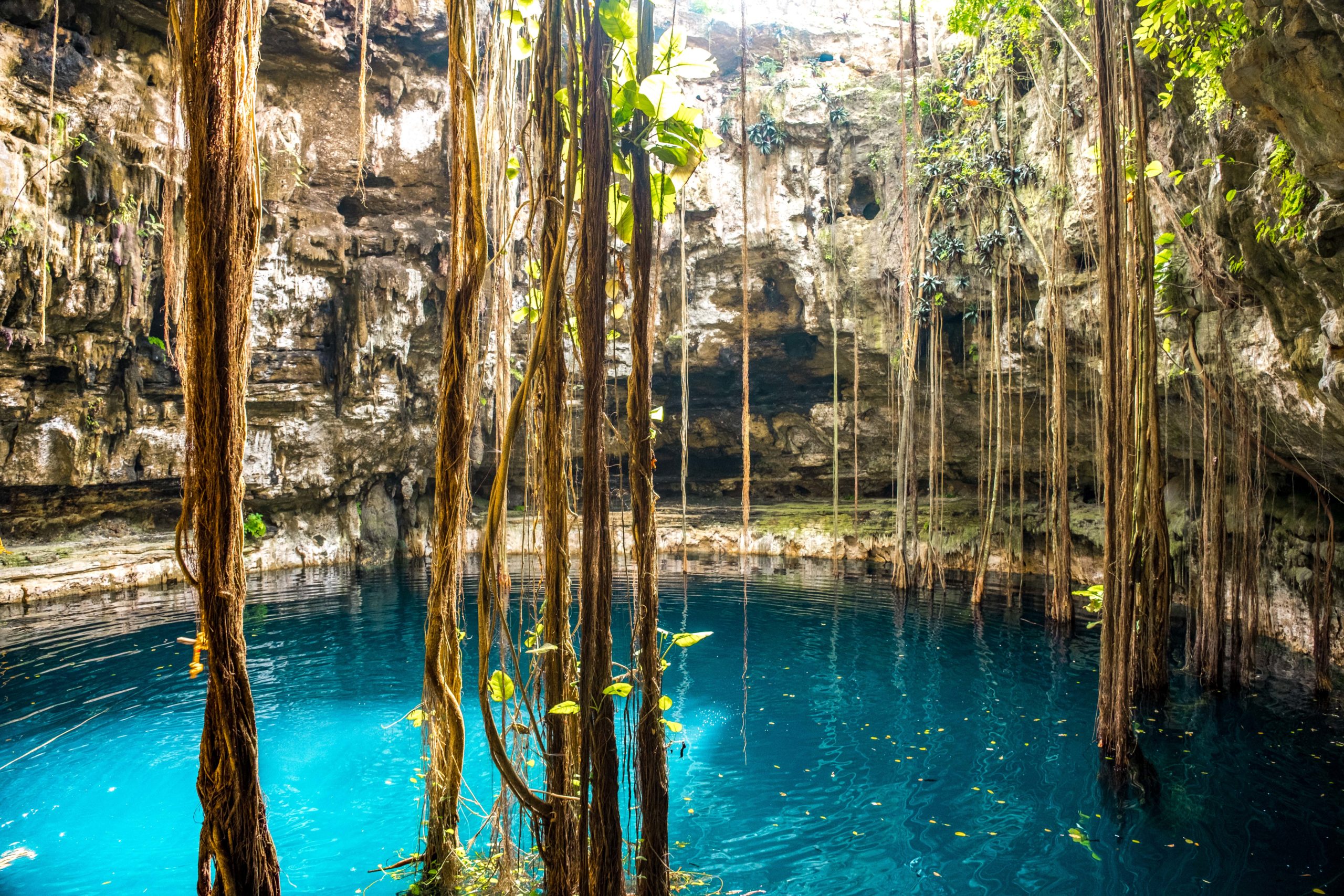 CENOTE OXMAN VALLADOLID YUCATAN MEXIQUE
