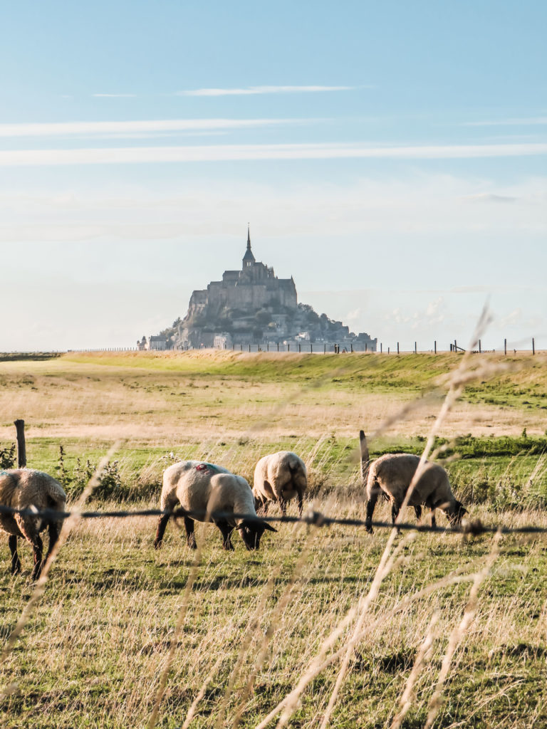 BAIE MONT-SAINT-MICHEL