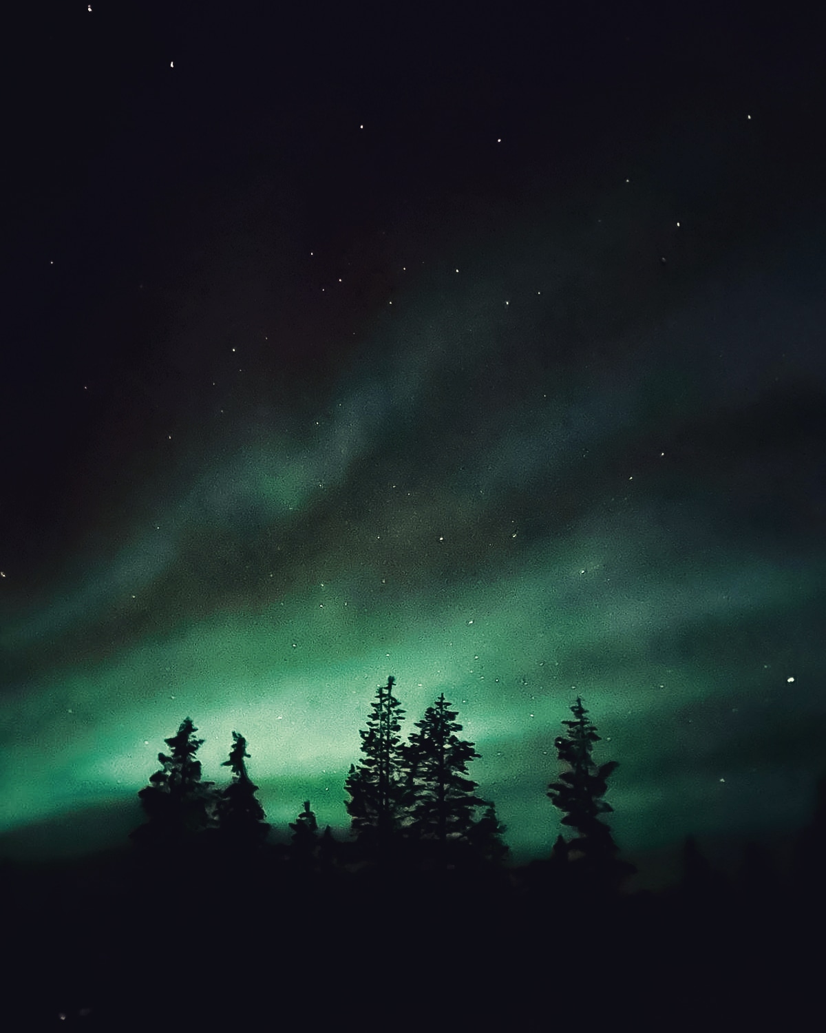 AURORES BOREALES LAPONIE NORTHERN LIGHTS LAPLAND