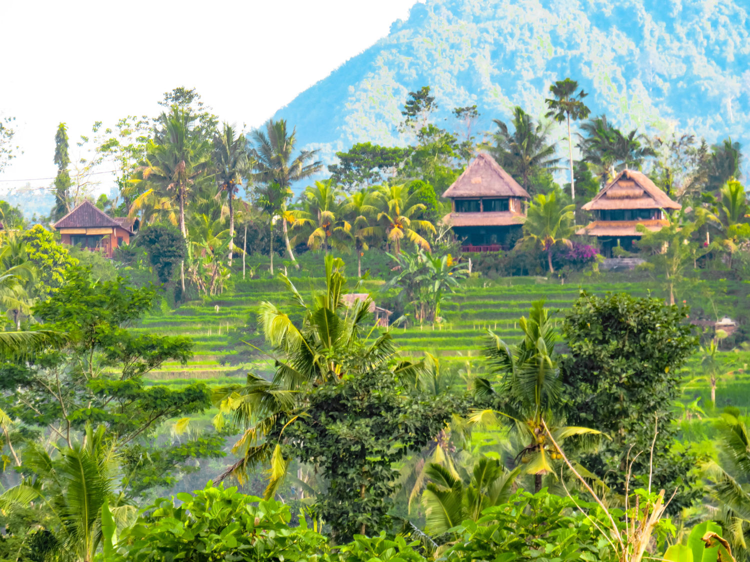 SIDEMEN BALI