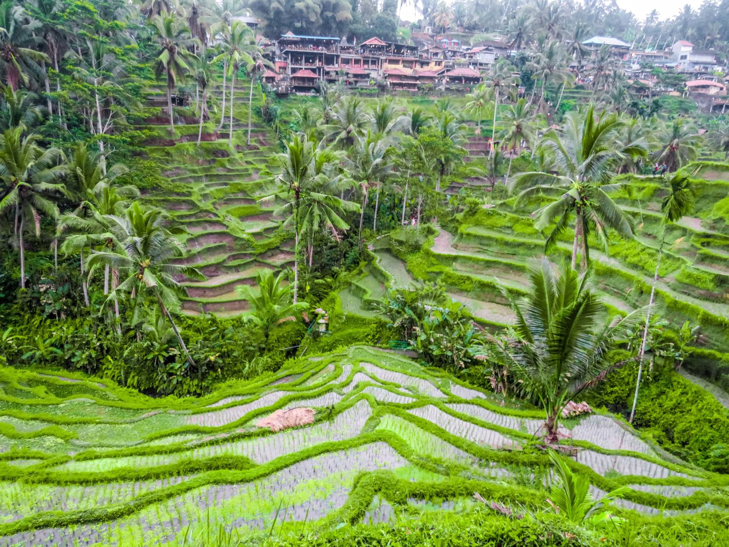 RIZIERES TEGALALANG UBUD BALI