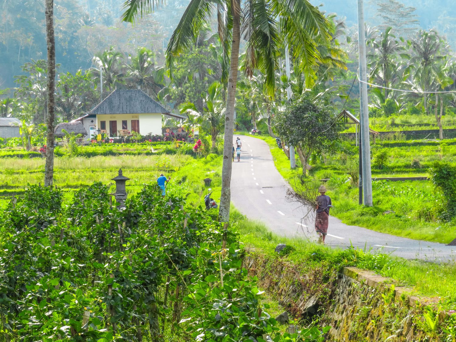 SIDEMEN BALI