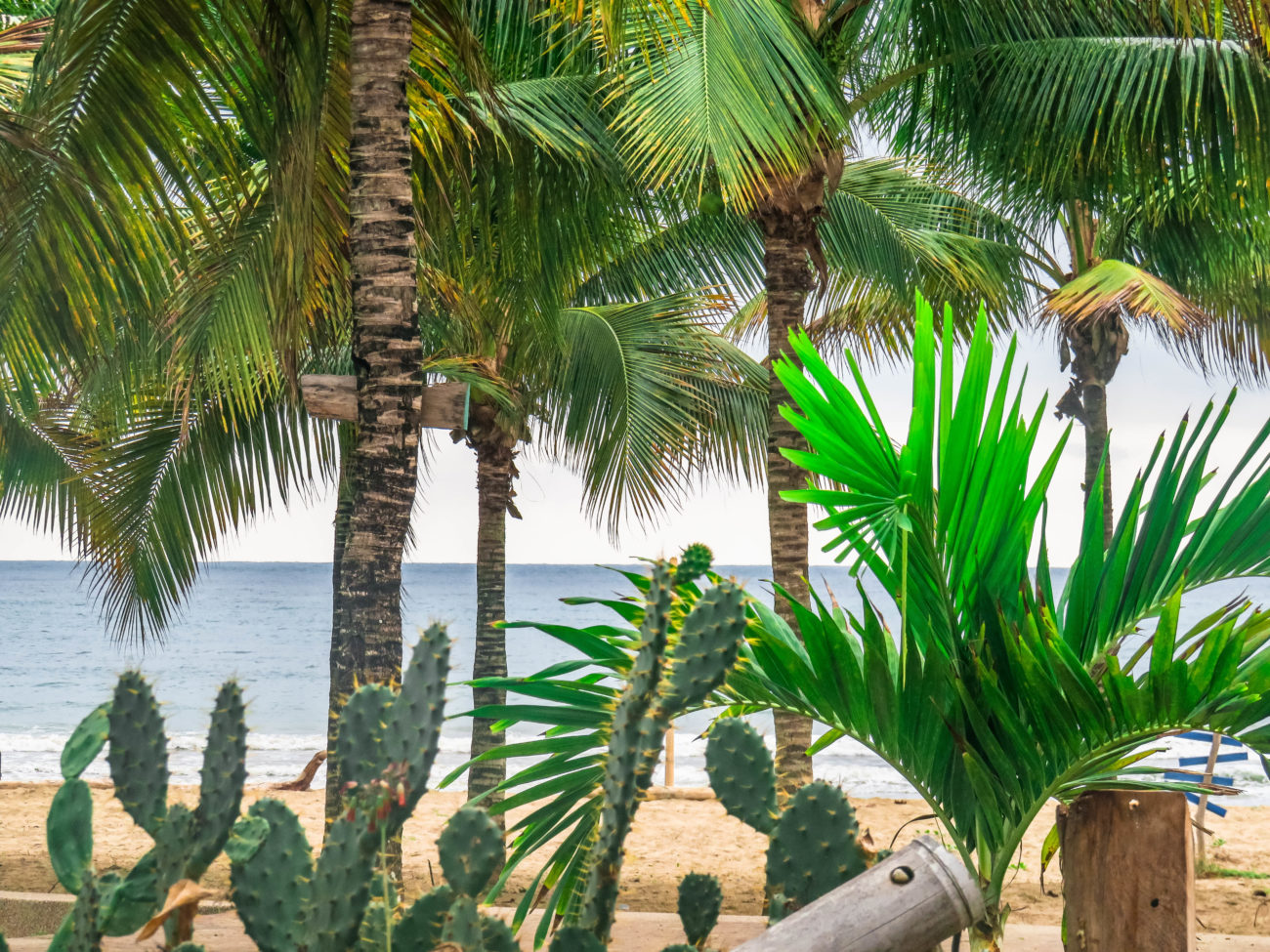 PUERTO LOPEZ ÉQUATEUR