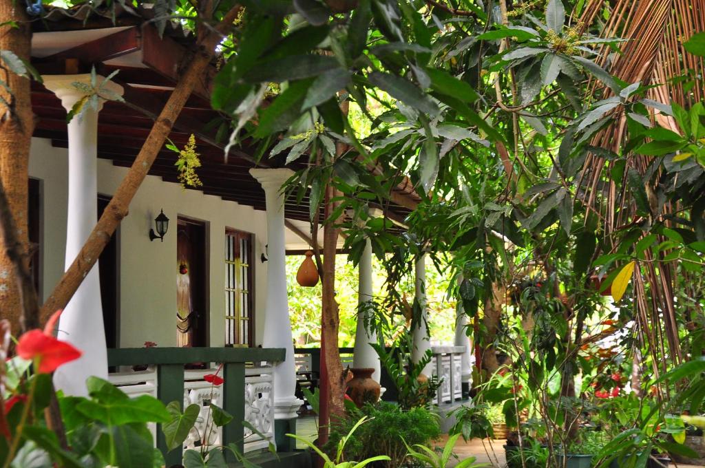 guesthouse Sigiriya Sri Lanka