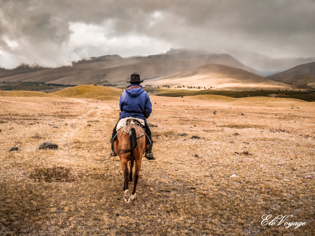 BALADE À CHEVAL EQUATEUR COTOPAXI