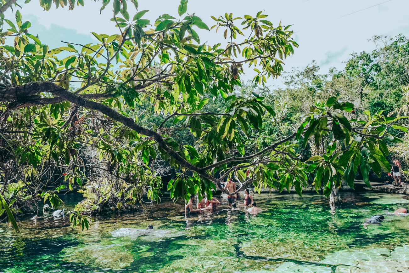 CENOTE AZUL (Playa del Carmen)
