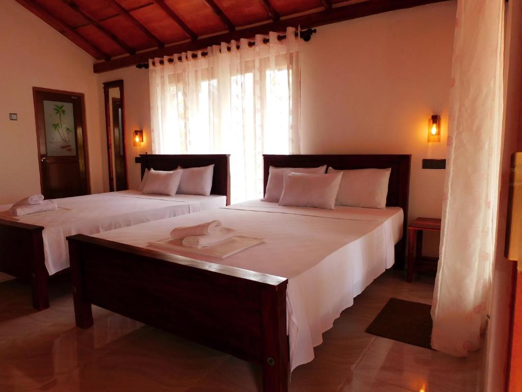 logement wilpattu sri lanka