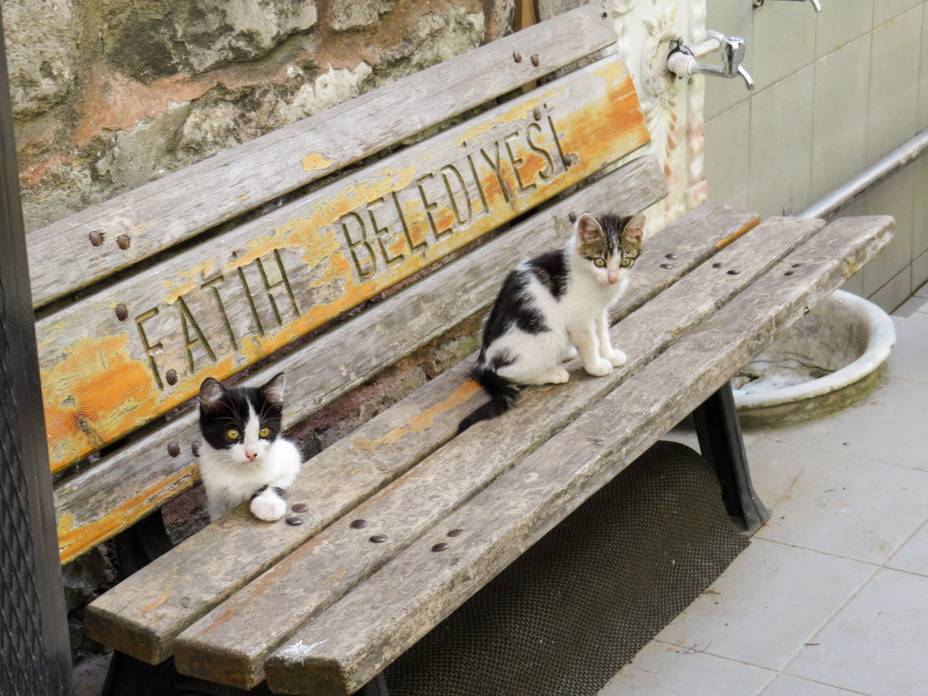 CHAT ISTANBUL