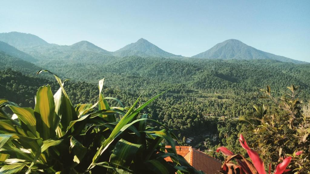 HOMESTAY MUNDUK BALI