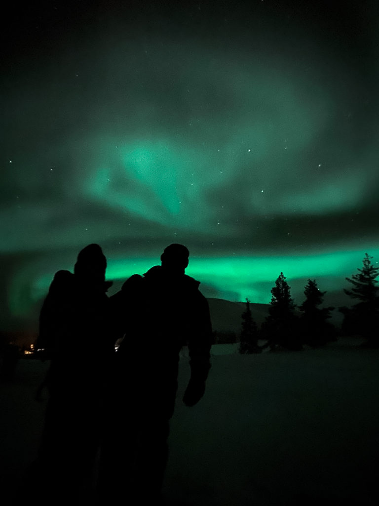 AURORES BOREALES LAPONIE FINLANDE - NORTHERN LIGHTS LAPLAND FINLAND