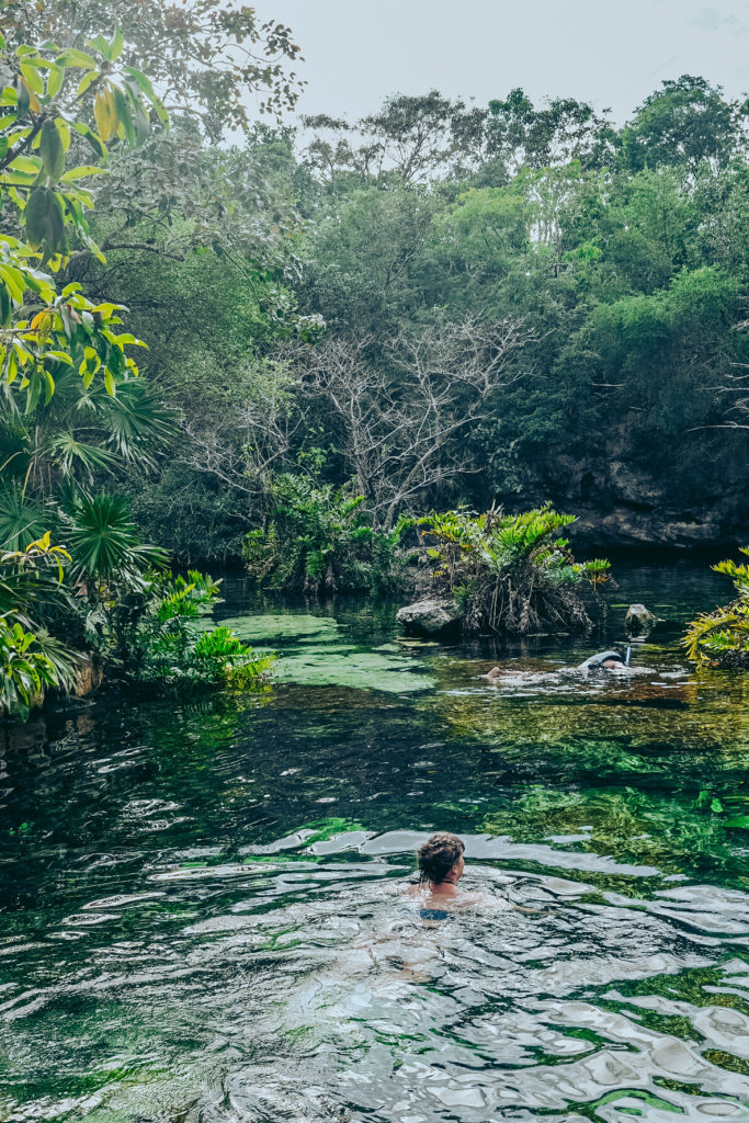 CENOTE AZUL (Playa del Carmen)