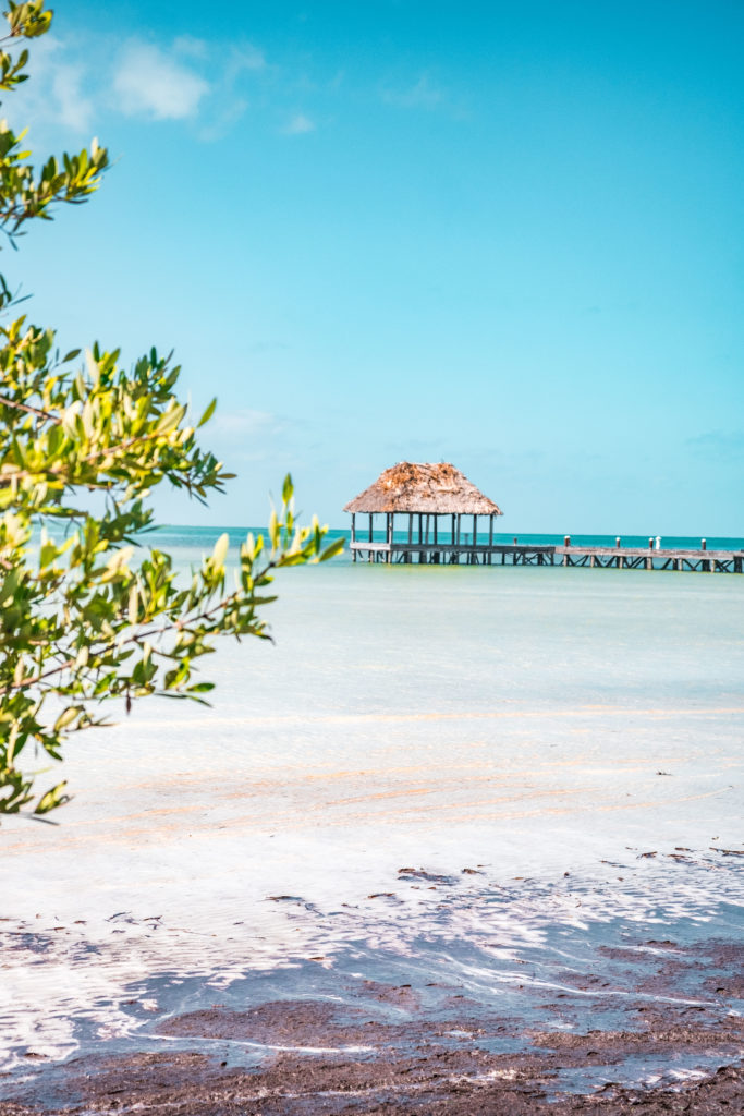 PLAGE PUNTA COCO HOLBOX MEXIQUE