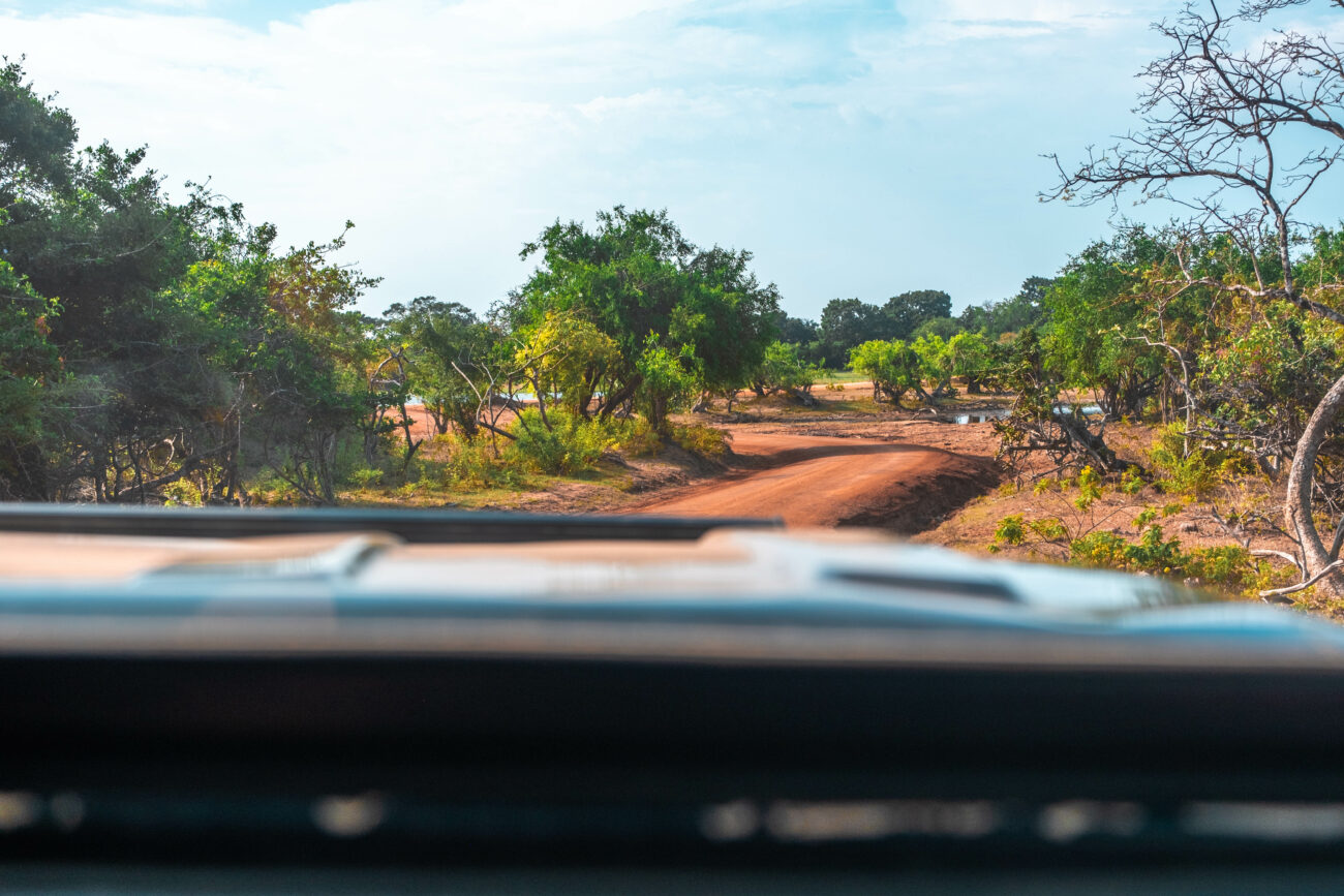 SAFARI WILPATTU SRI LANKA