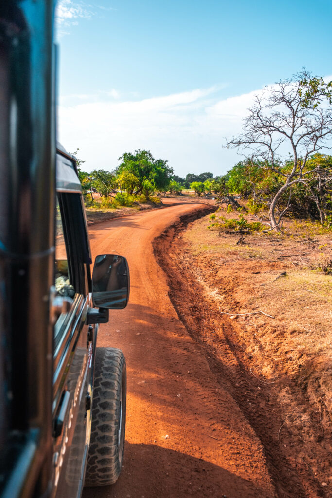safari yala national park Sri Lanka