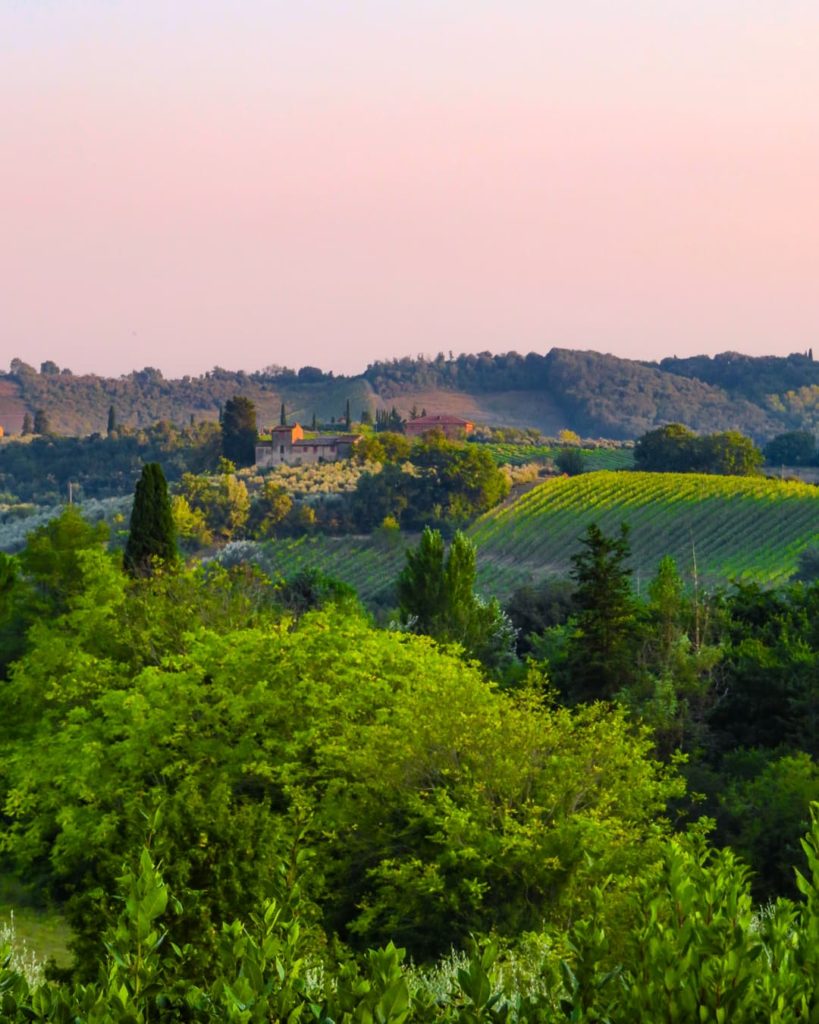 vignobles Toscane Italie