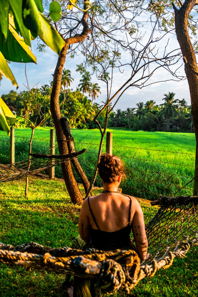 hotel yala sri lanka