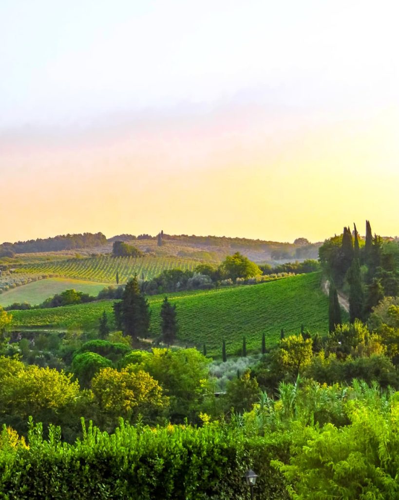 vignobles Toscane Italie