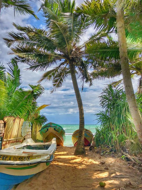 turtle eco beach Matara Hotel Sri Lanka