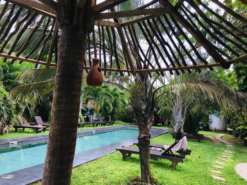 turtle eco beach Matara Hotel Sri Lanka