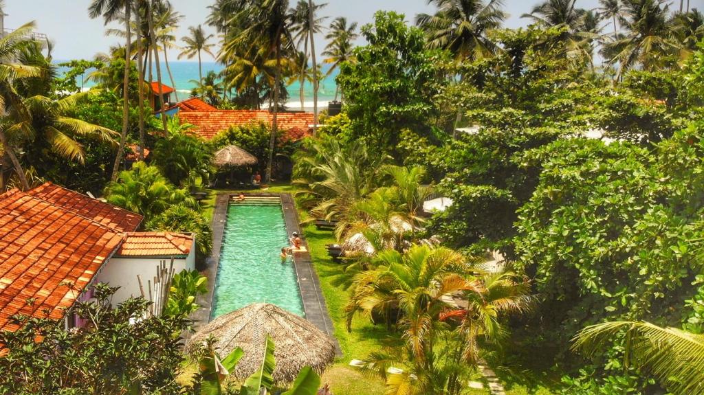turtle eco beach Matara Hotel Sri Lanka