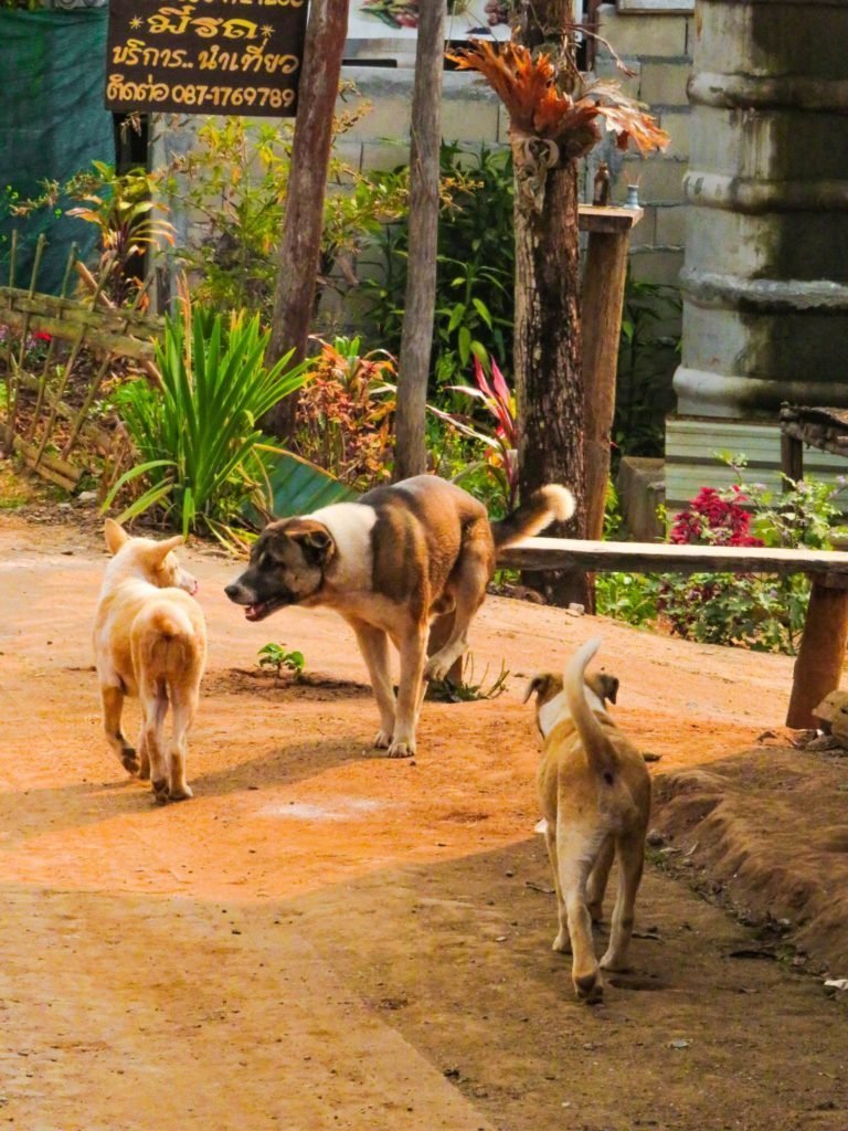 VILLAGE MAE HONG SON THAILANDE