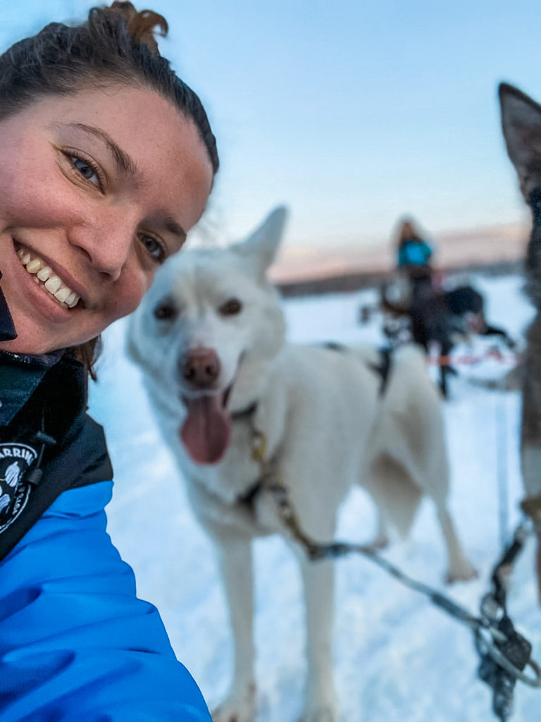 CHIENS DE TRAINEAU LAPONIE HUSKY SAFARI