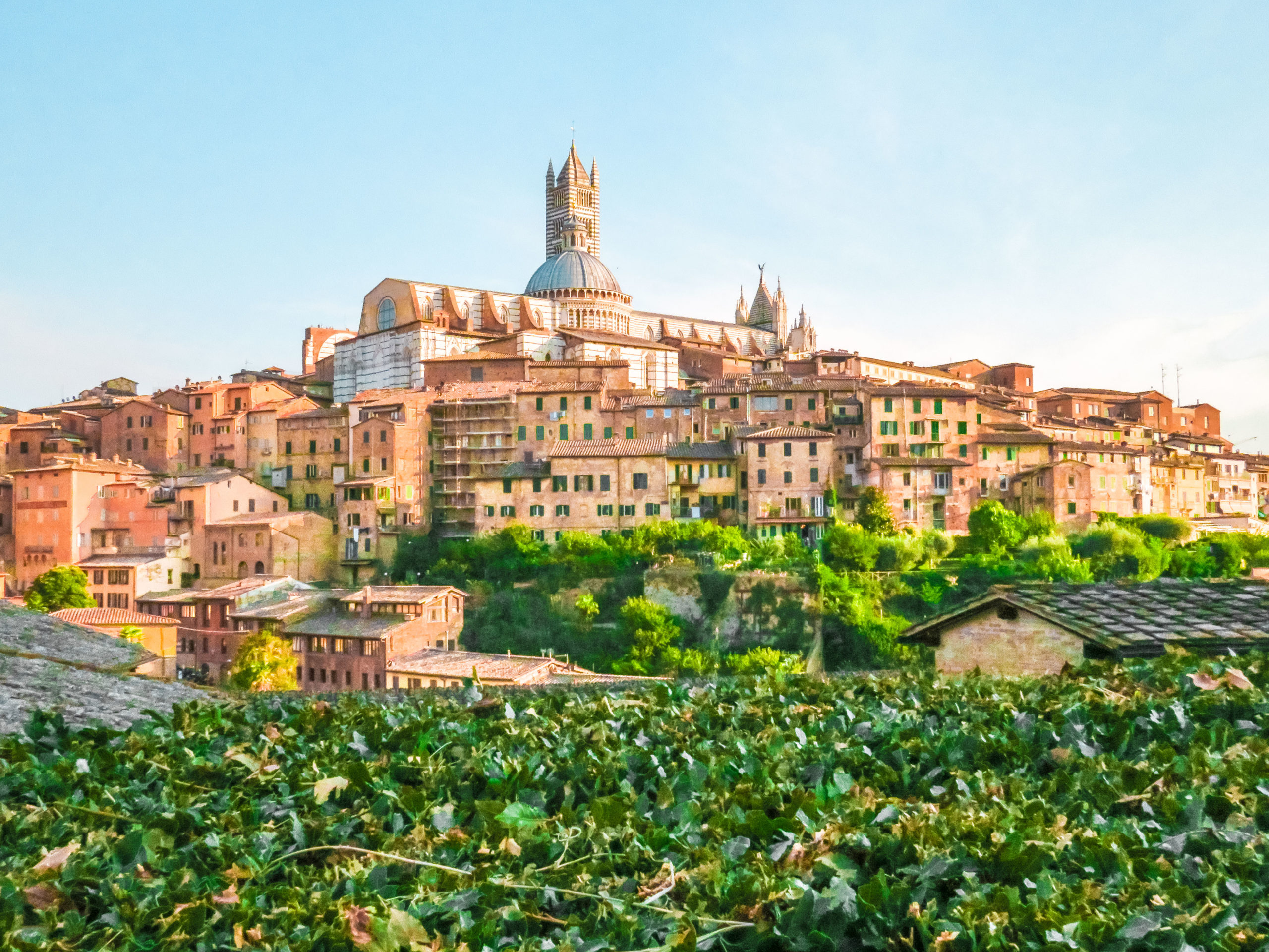 SIENNE ITALIE